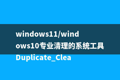 windows11/windows10专业清理的系统工具Duplicate Cleaner5.0.13中文破解免费下载