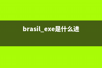 brasil.exe是什么进程