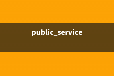 Services 翻译第一集(public services翻译)