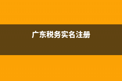 广东国地税实名认证(广东税局实名认证流程) (广东税务实名注册)